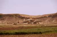 831Entre Zénobia et le lac Assad