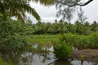 034 Au fond de la baie de Faatemu