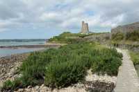 43 Fort de la Hougue - Rempart Est & our Vauban B