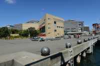 82 Te Papa - Musée de Nouvelle Zélande