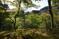 92 Ginkaku-ji - Jardin