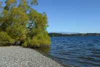 30 Lac Te Anau