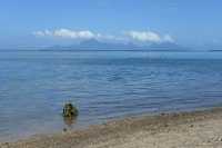 028 Moorea vue de la plage de Rohotu