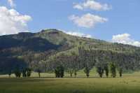 33 Vallée de la Yellowstone River