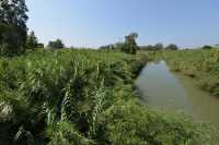 13 Le Jourdain au nord du lac