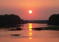 Soir - Oiseaux sous le soleil