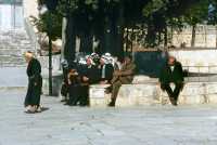 012 Esplanade du Temple