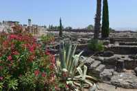 05 Escalier d'une habitations & synagogue de Capharnaüm