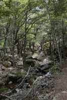 43 Quailburn Track (Benmore Run, Ahuriri Park)