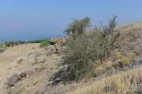 36 Colline dominant le lac au sud de Kursi
