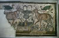 064 - Fontaine de vie - Carthage (4°-5°s)