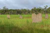 05 Termitières magnétiques