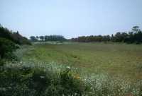 037 Césarée - Stade