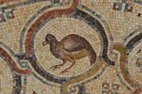 33 Pavement du sanctuaire de l'église de Khirbet Beit Sila