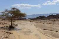 057 Timna après l'orage