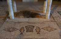 07 Mosaïque -  Quatre pains et deux poissons