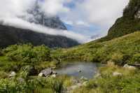 063 Ruisseau & nuage au sud de Milford Sound