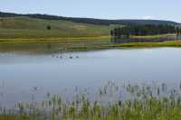 056 Yellowstone River (Nord de Lake Village) B