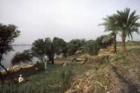 09 Nord de Louxor rive ouest