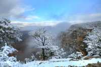 38 Gd Colorado Neige **