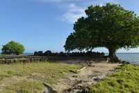 128 Marae Hauviri (Taputapuatea)