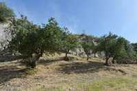 29 Hakeldama - Vallée de la Géhenne près du Monastère Saint-Onuphrius