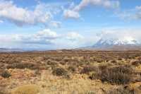 008 Près du Lago Sarmiento