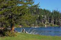 013 Yellowstone River près de Mud Volcano