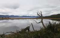 014 Vers l'Estancia Harberton