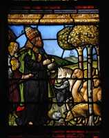 07 Création des animaux terrestres