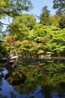 57 Temple Nanzen-ji (Jardin)
