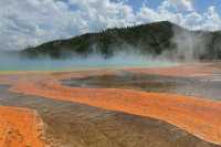 43 Grand Prismatic Spring