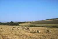 046 près  (((????))) de Tarse