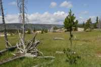 072 Prairie près de Old Faithful