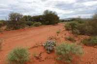 10 Mereenie Loop Road