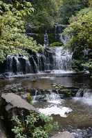 136 Purakaunui Falls