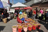 06 Marchande de fruits