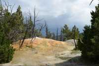 58 Mammoth Hot Spring Terraces