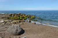 59 Les Mares de Vrasville