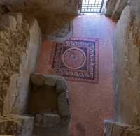 125 Thermes du palais ouest - Mosaïque hérodienne