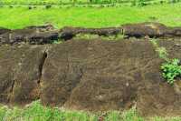 05 Pétroglyphe - Thon & requin - Papa Vaka