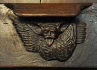 091 Stalle - Drôle d'oiseau