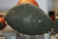 116 - Palette à fard en schiste - Prédynastique (Naqada I - 4000-3600) Poisson