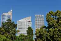 054 Jardin botanique