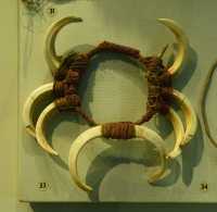 58 Collier (Papouasie, Nouvelle Guinée)