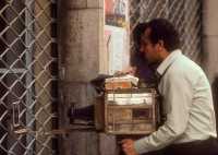 273 Damas photographe