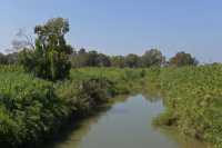 02 Le Jourdain au nord du lac