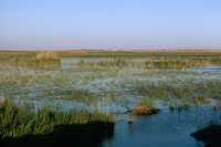 456 Euphrate Samarra, marécages