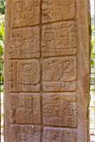 176 Quirigua stèle