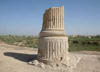 025 Suse - Adapana *